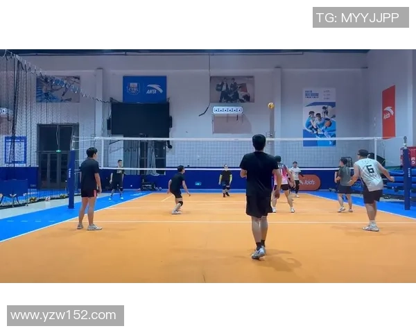 重庆排球队意识提升与战术创新的深度分析与探讨 重庆排球队意识提升与战术创新的深度分析与探讨